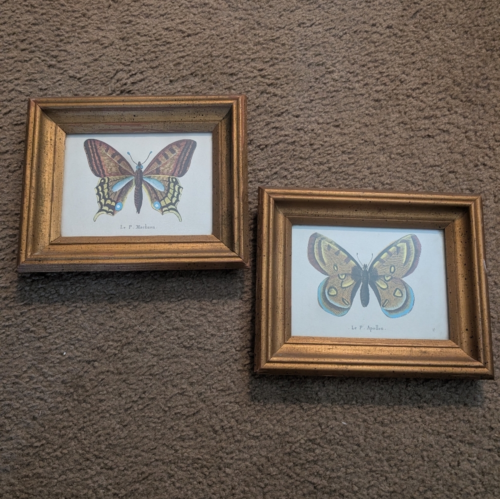 Gold Framed Butterfly Wall Art - Set of 2